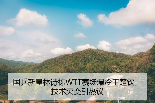 国乒新星林诗栋WTT赛场爆冷王楚钦，技术突变引热议