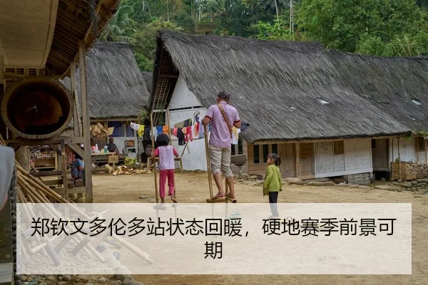 郑钦文多伦多站状态回暖，硬地赛季前景可期